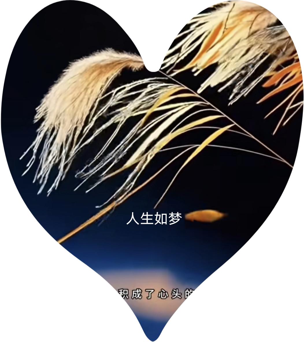 人生就是一场梦！
有位火化工说，他最多的一天烧了61具遗体，他觉得生命真的很狼狈