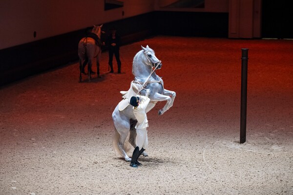 阿布扎比皇家马术，世界第五所古典马术学校，正式敞开大门