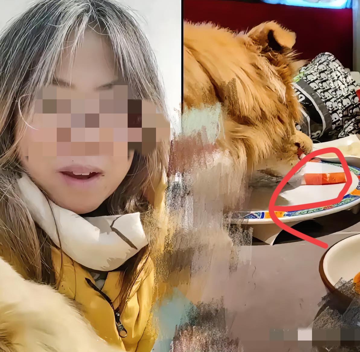 这下出名了
纵容狗上桌舔盘子，
还发视频炫耀，夸自己家的狗，“太棒了”
​你把狗