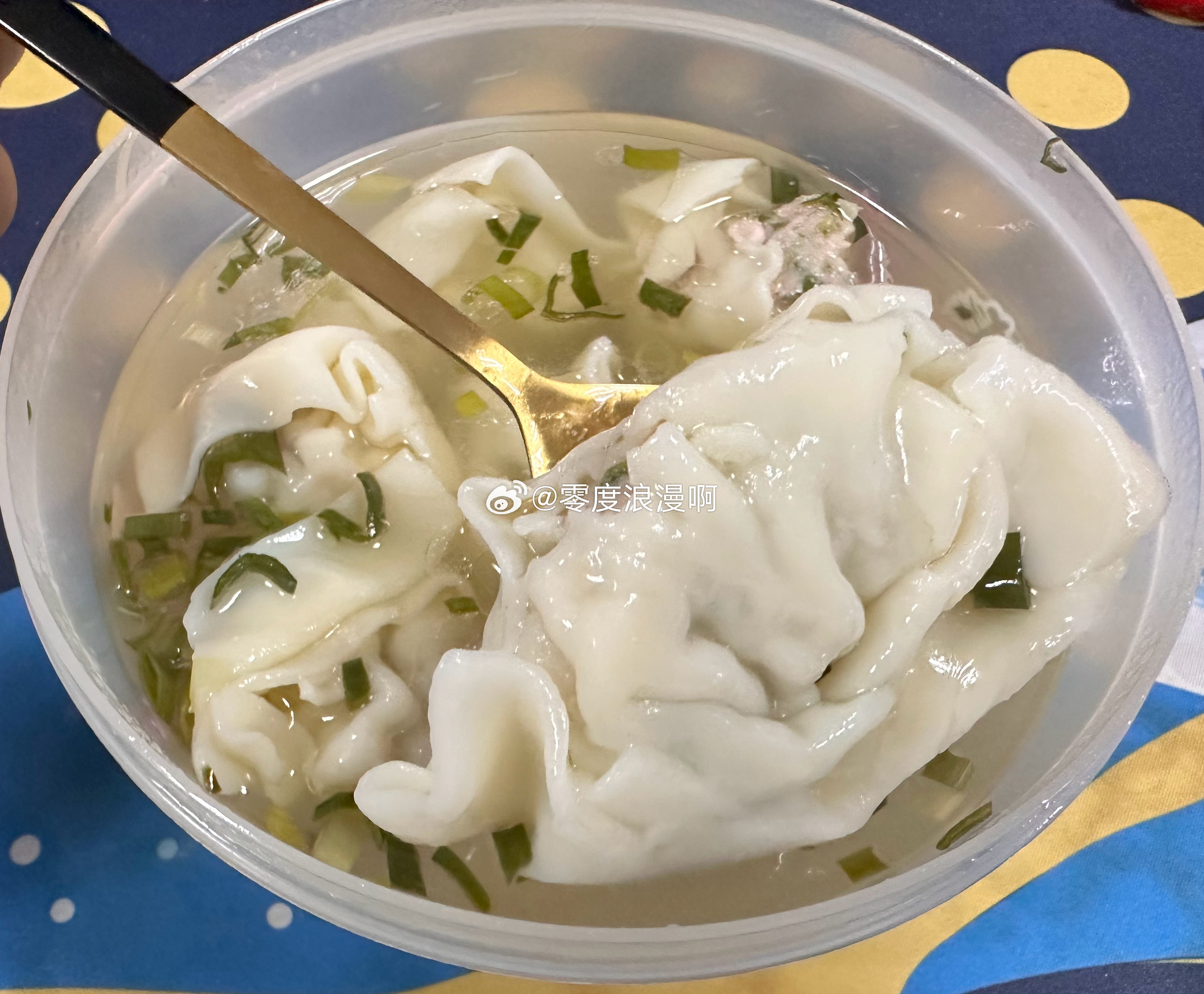燃烧的陀螺仪  中午这一碗排骨汤大馄饨，一整天都不会饿了