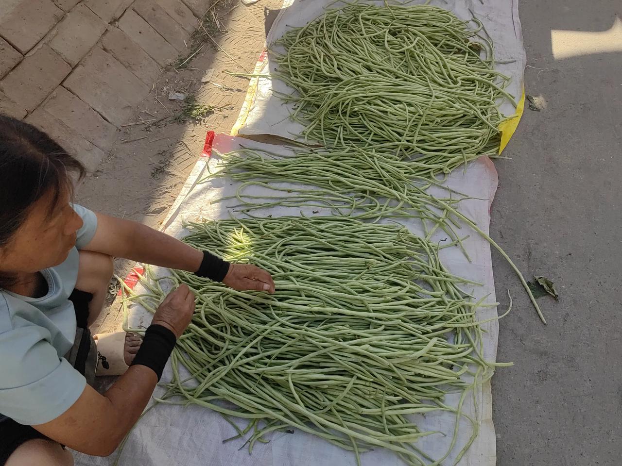 不知道今年这是怎么了，各种蔬菜都太便宜了。
今天是我们村的集，集上卖的菜基本上都