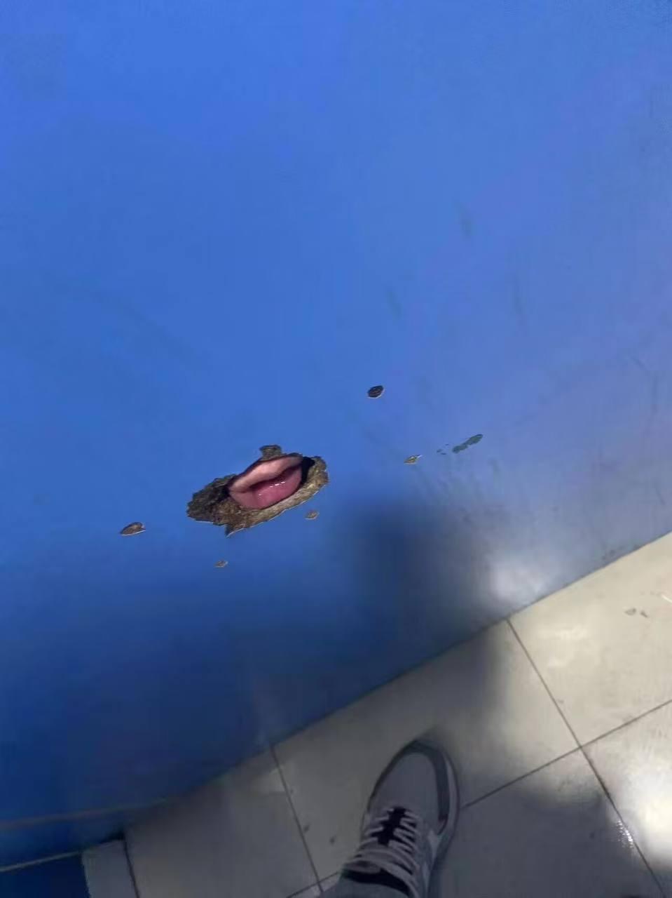 这个门上为什么会长嘴？ ​​​