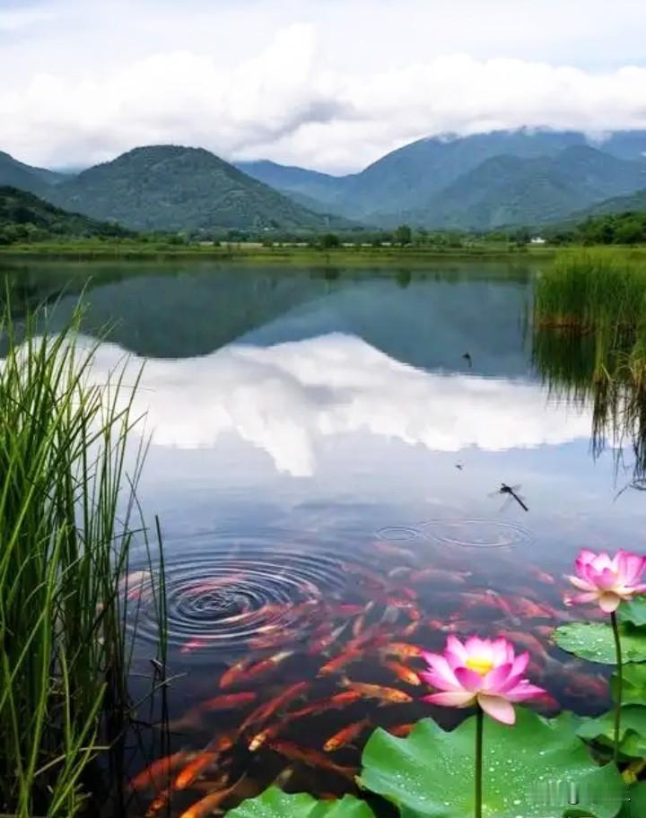 楼下的小姑娘太美了，好几次我都觉得她美的无可挑剔，忍不住夸奖她。

我们楼下的邻