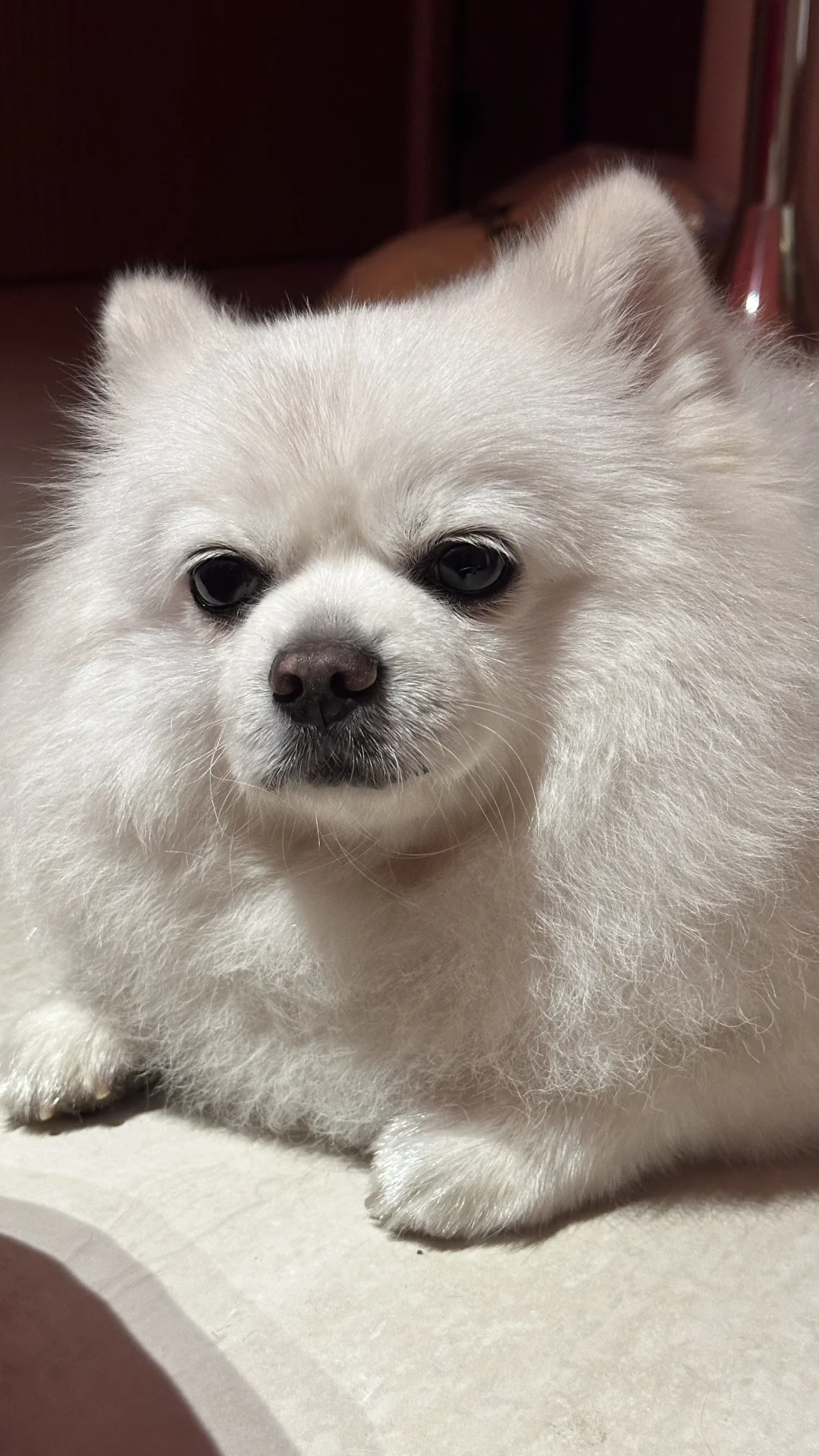 中午没睡午觉：be like