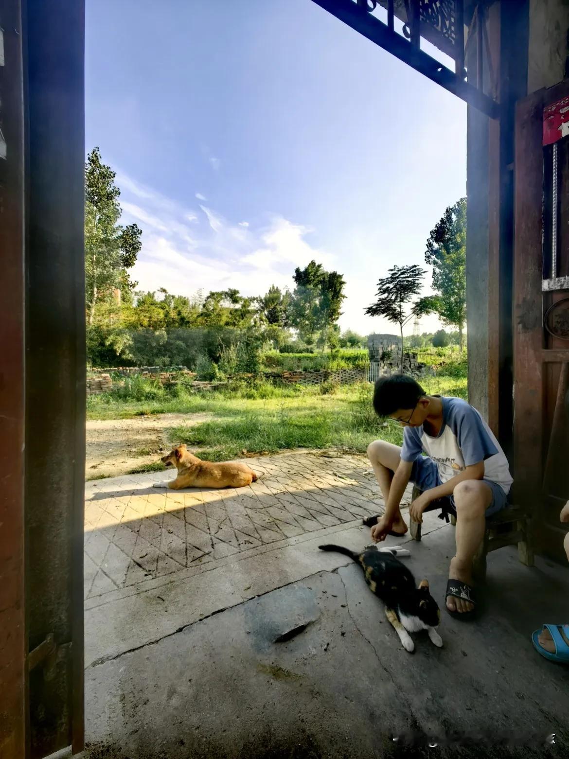 似乎现在的教育环境已经不再将孩子们当作人来对待。为了减轻家长们的压力，孩子们的负