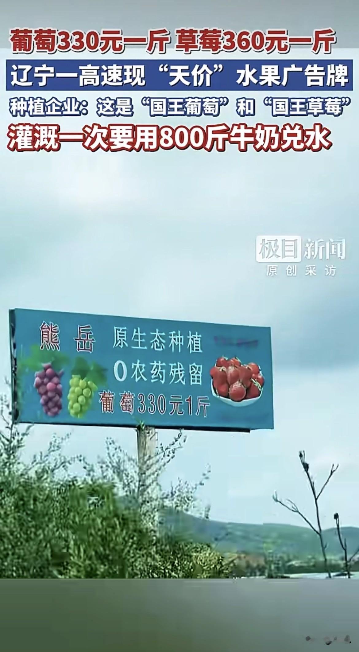 破防了。葡萄330一斤，草莓360一斤，这价格把辽宁一个网友看傻了。

2月23