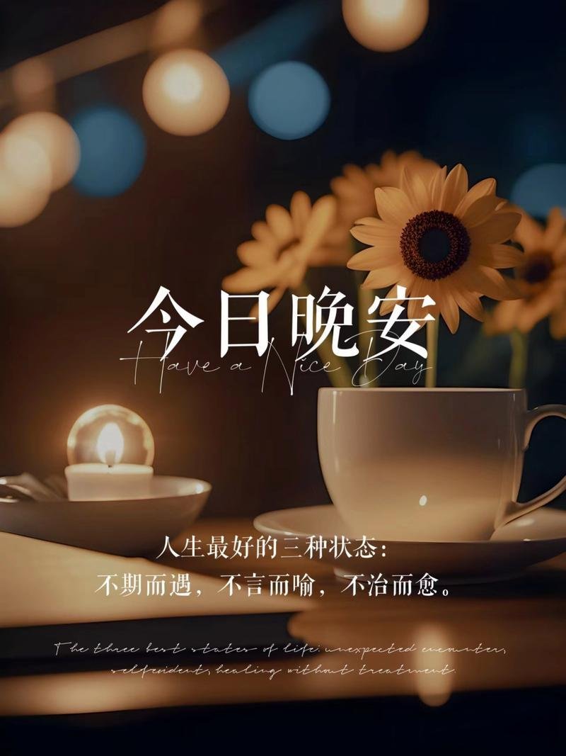 晚安 🈷️亮值班，守护你的夜晚；太阳会准时来接岗，照亮你的清晨。晚安好梦 