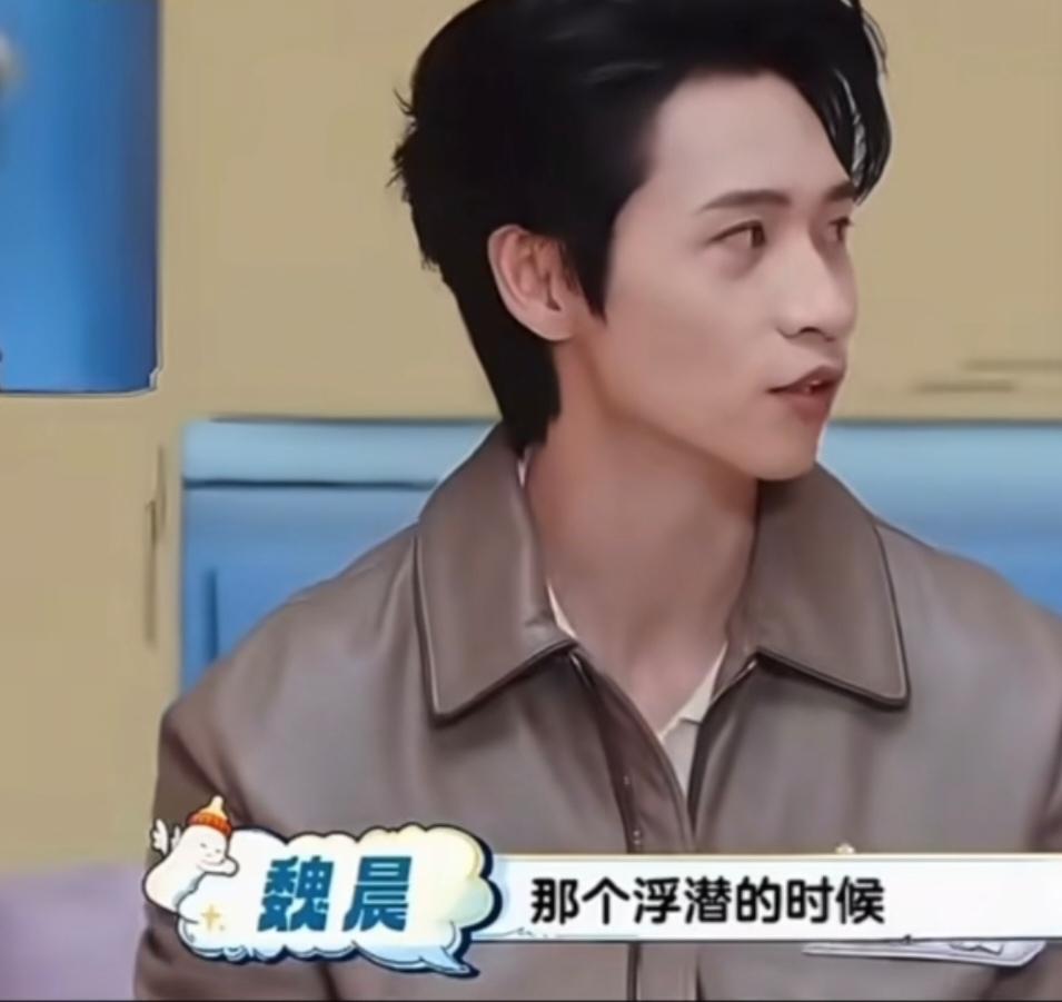 魏晨:“我求婚的时候准备惊喜是在那个水下，那个浮潜的时候，我就带着那个求婚的钻戒
