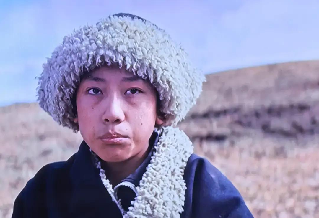 9岁那年，他把眼泪借给镜头，换走一条老狗的命。
字幕没刻下“更登彭措”四个字，观