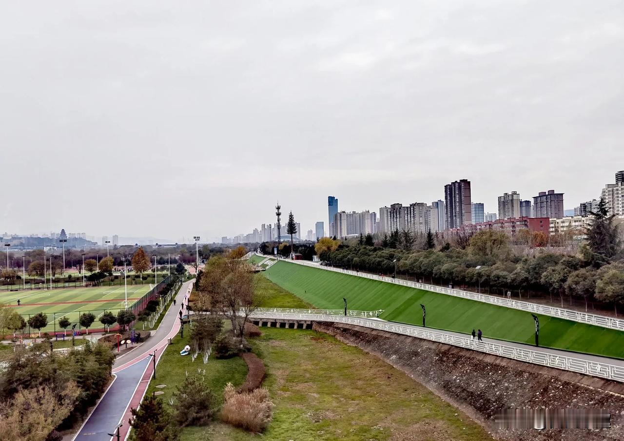 清晨站在高处，观赏宝鸡渭河团结运动公园冬日特有景色！