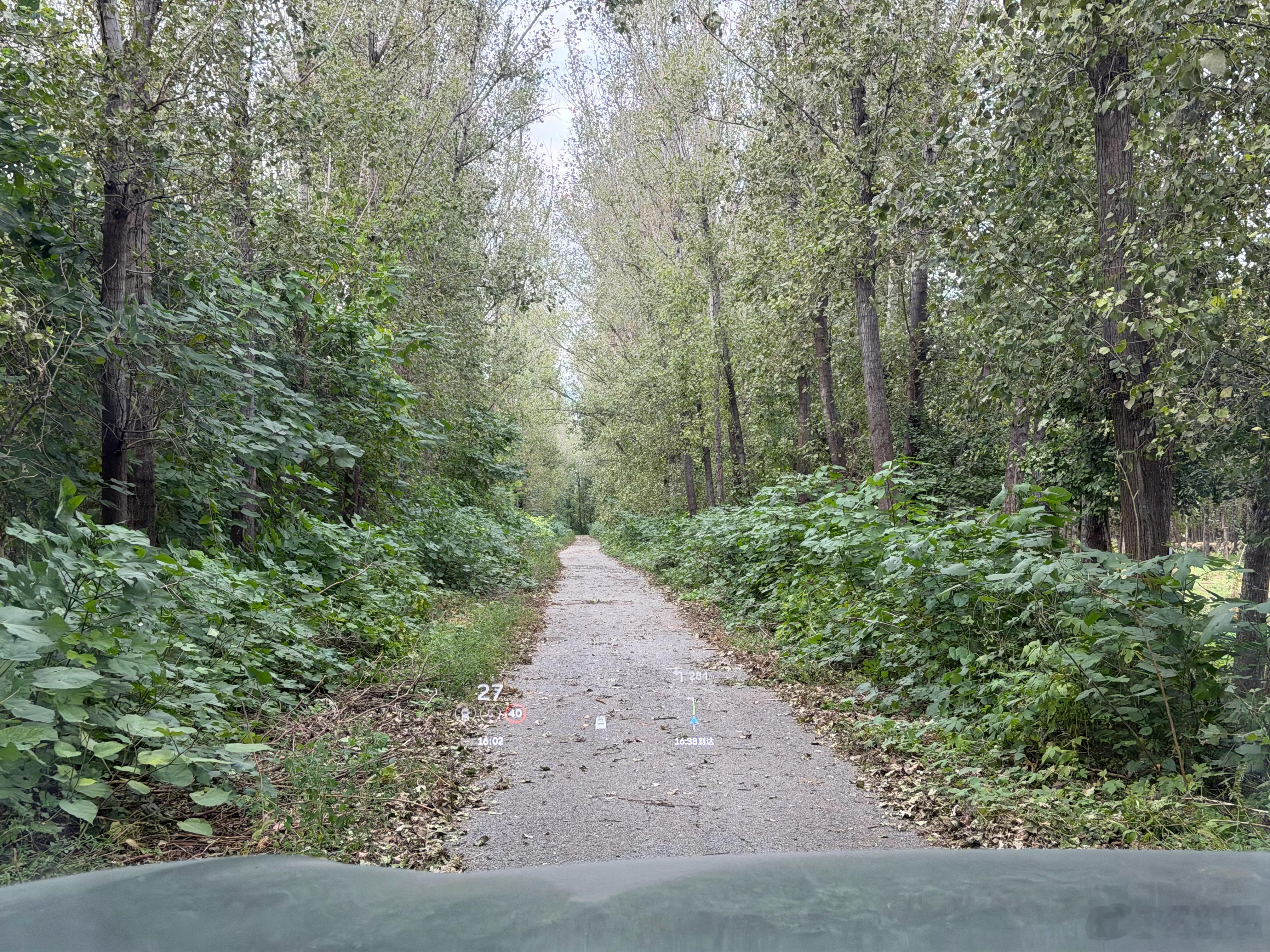我发现现在微博都刷不出来啥新的微博，现在刷出来都是前几天的，不知道咋回事，是推送