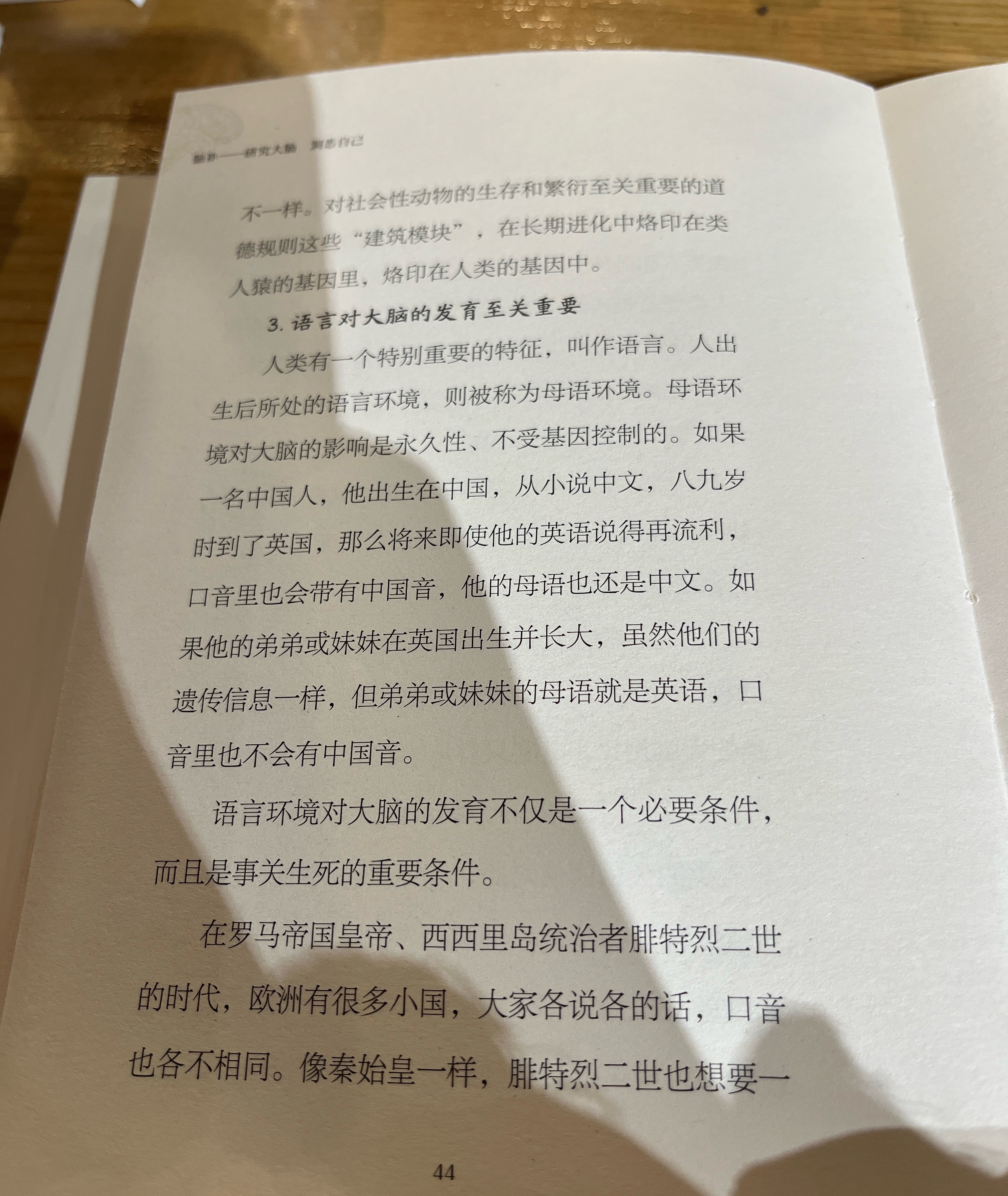 语言环境对大脑的发育这和后天的语言会塑造人的长相相似。面部是真相