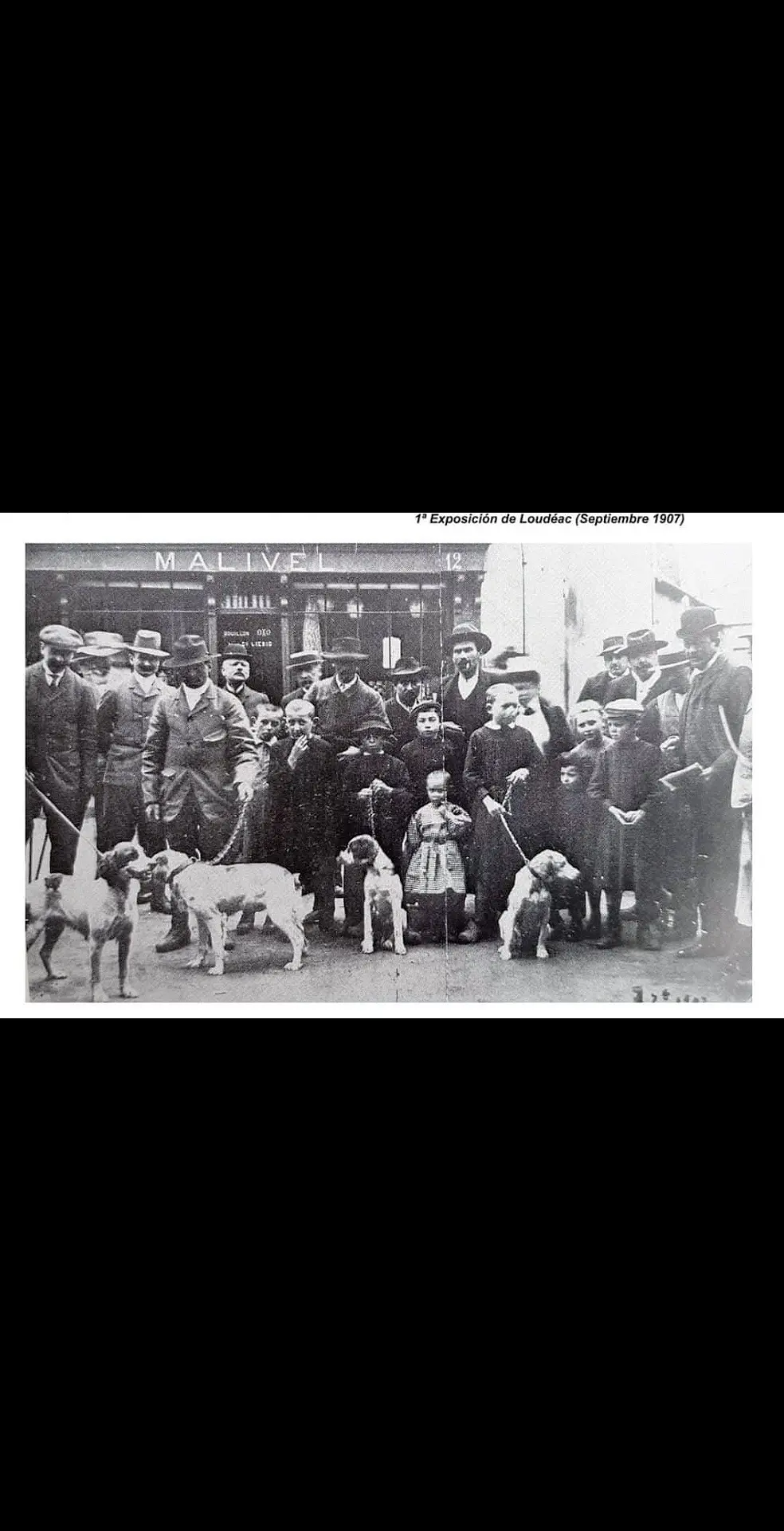 100年前epagnuel Breton（布列塔尼犬）。该犬种经历10...