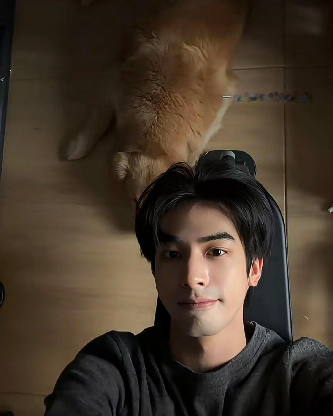 宋威龙自行车它说2026旺旺旺宋威龙2026旺旺旺 帮你们问自行车了，它说：20