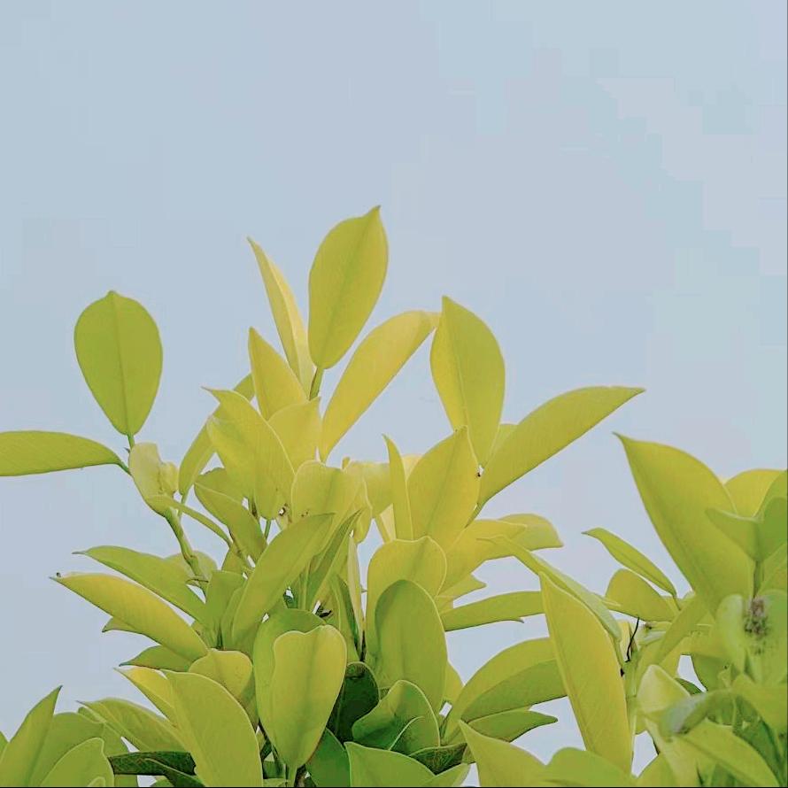 今天下午   中央纪委：执纪审查1人
 
4月7日，该部门执纪审查1人，为今年5