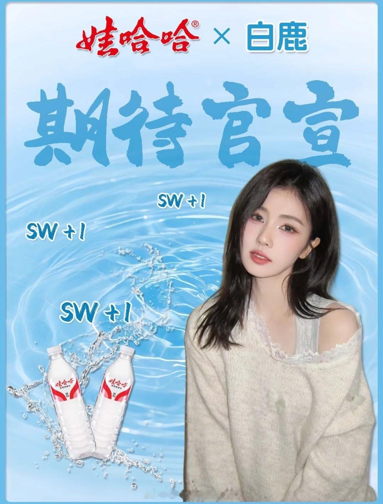 白鹿新商务➕1，娃哈哈 