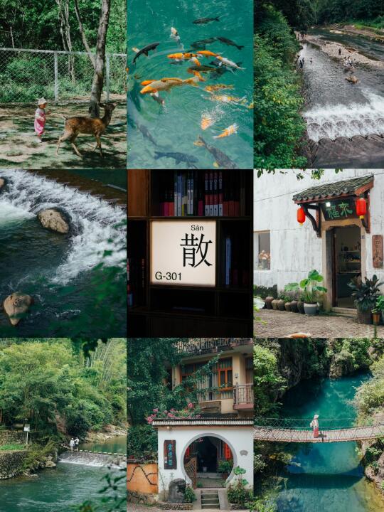 后悔才来‼️这个小县城真好玩⛰️桐庐2天1晚