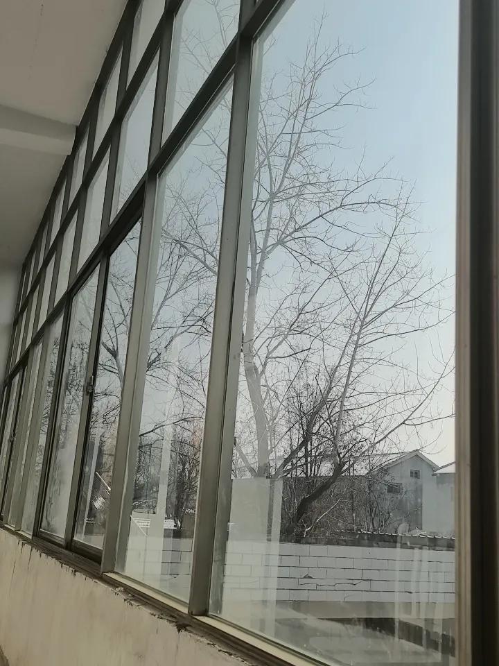 阳光明媚，适合约会😊