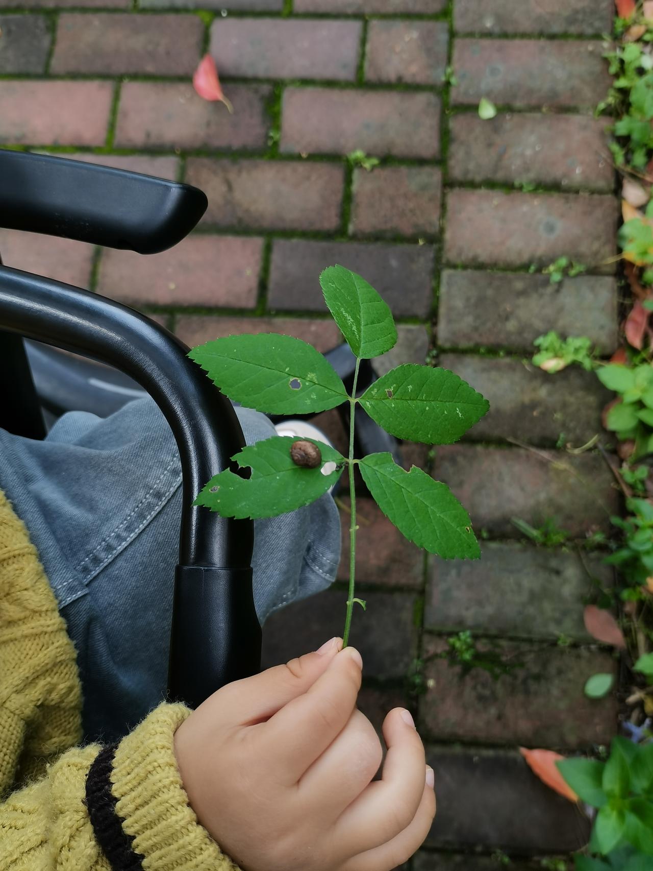 昨晚得知小老板奶奶出车祸，
我今天上班小心骑车，
但到了小老板家还是受伤了。
