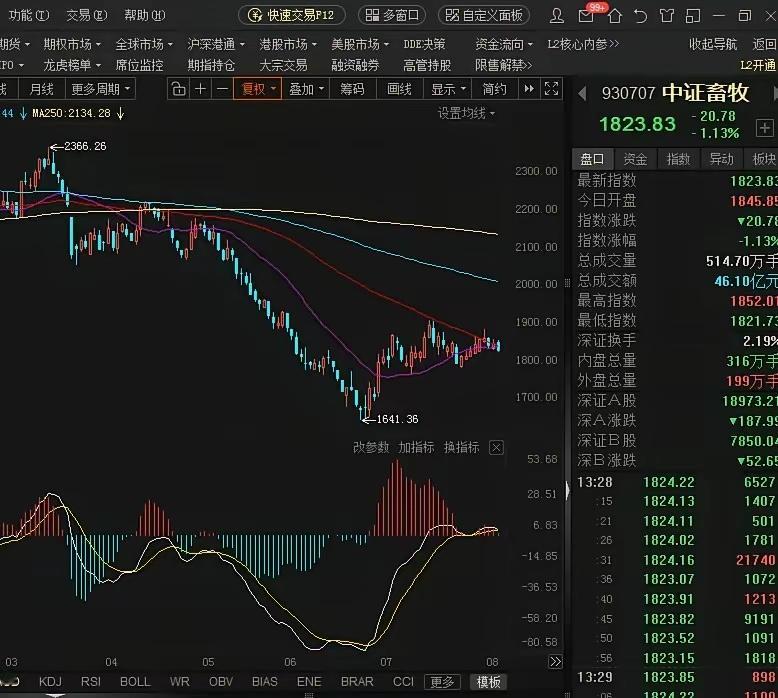 周线的金叉，往往是日线上卖点，日线金叉往往是30分的卖点。不要看到金叉就买。中证