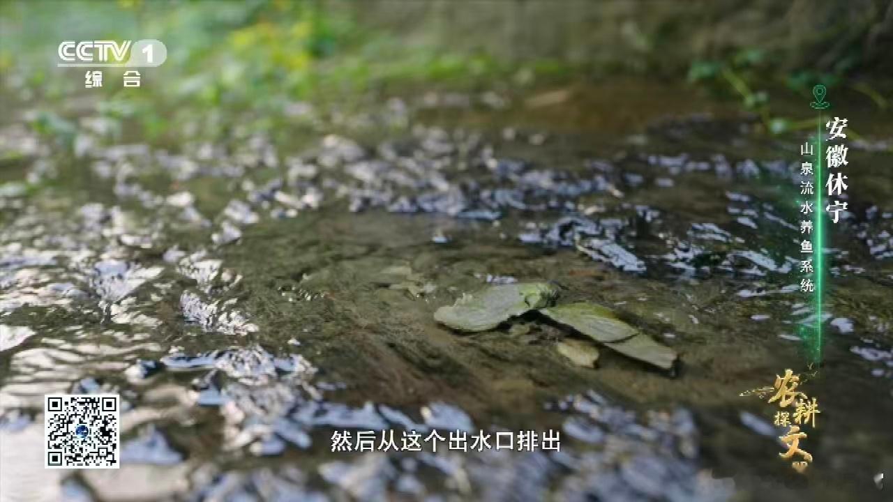 中国古人养鱼用流体力学 看古人利用流体力学来优化鱼池设计，简直令人叹为观止！水流