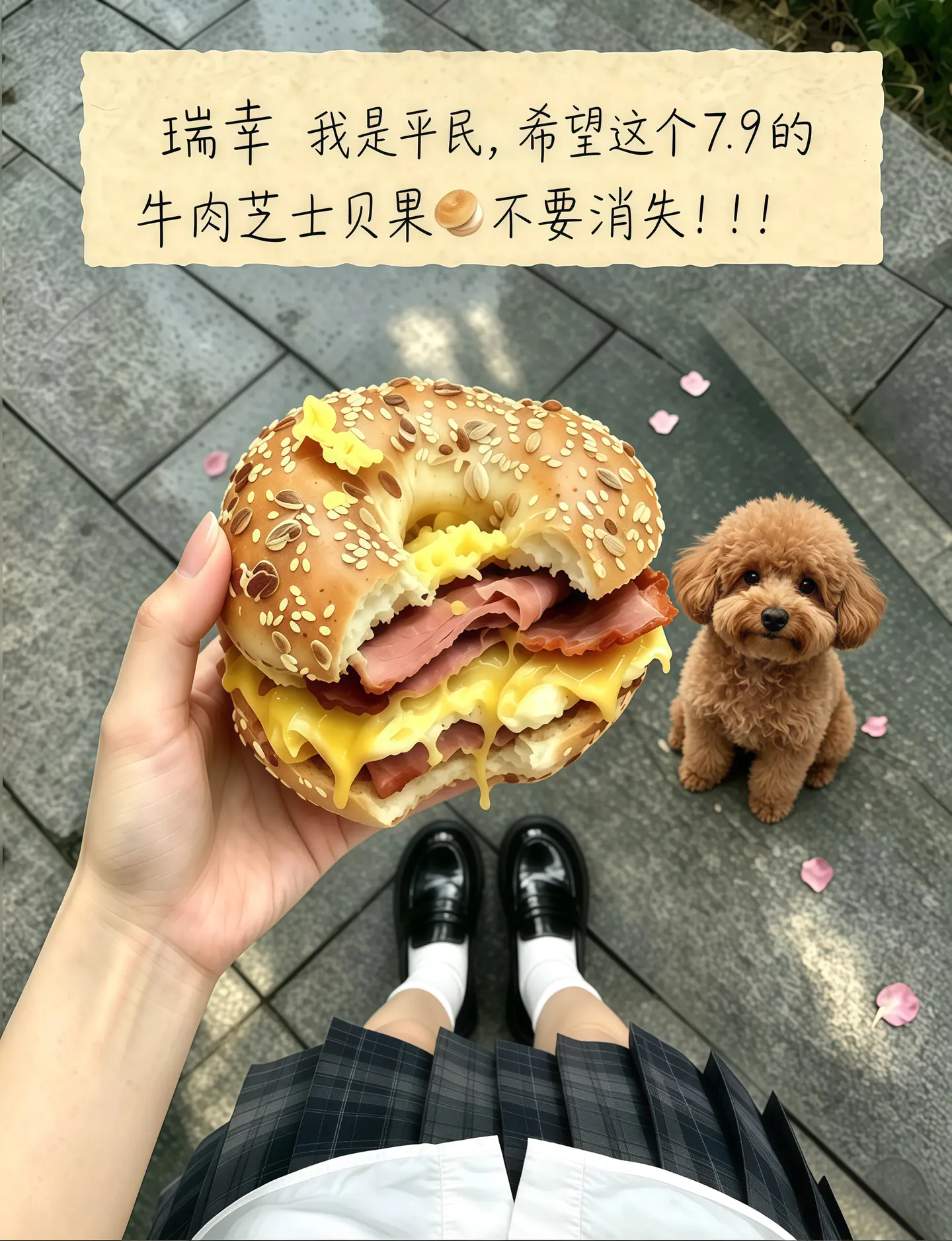 瑞幸，你转行做面包吧，馋了好久的牛肉芝士贝果重磅回归啦！