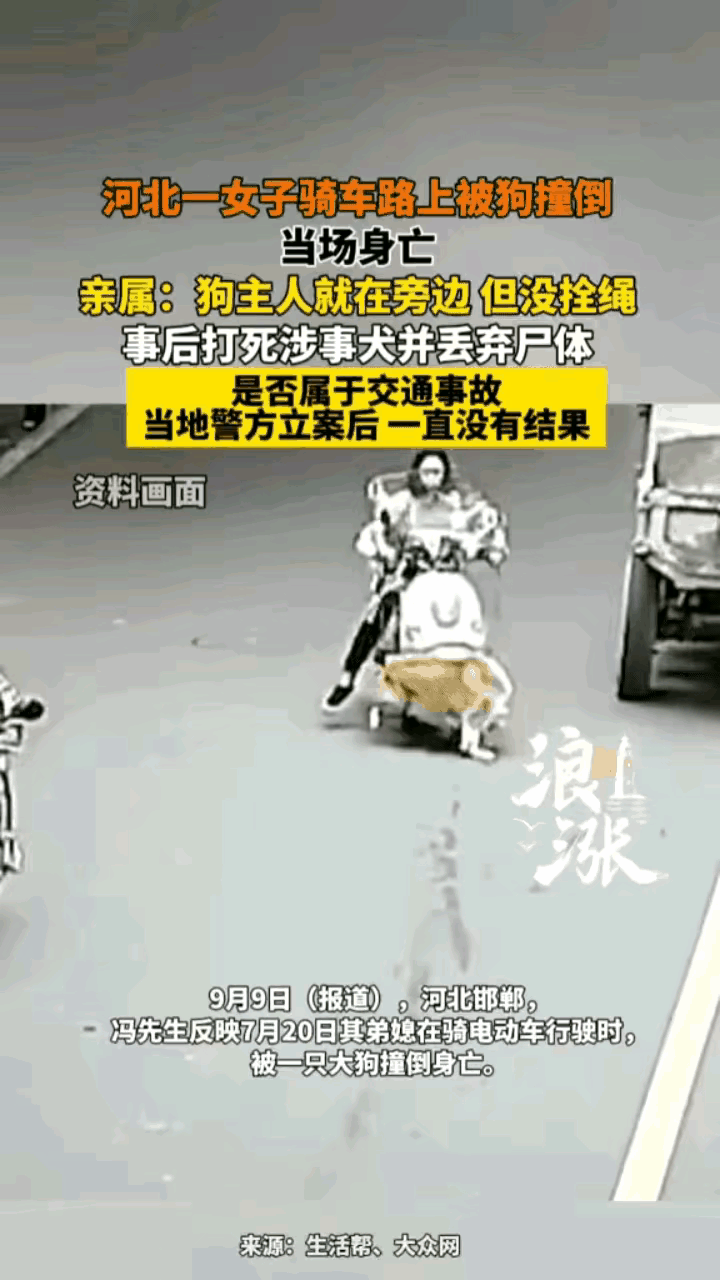 这起发生在河北的惨烈事故，瞬间点燃了无数网友的愤怒与心疼。一名年轻女子骑着电瓶车