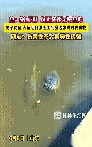 山东，某处水库边。
鱼钩入水，还没沉底，一阵水花翻起。男子握紧钓竿，手腕蓄力，准
