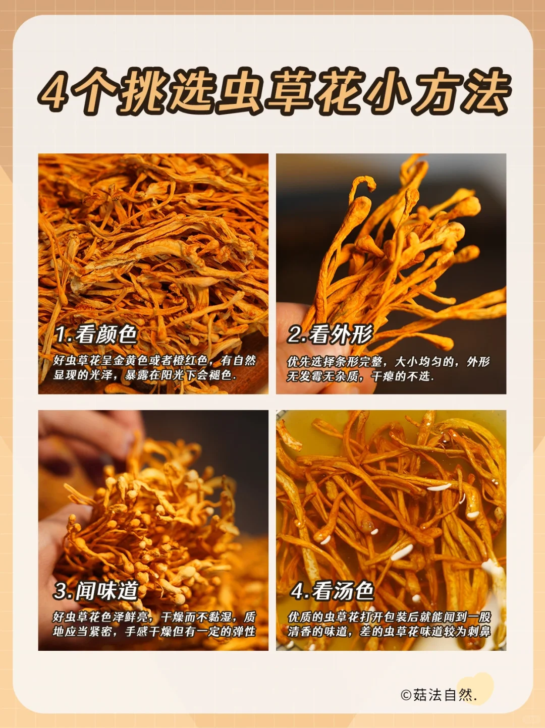 4个挑选虫草花的小方法👍