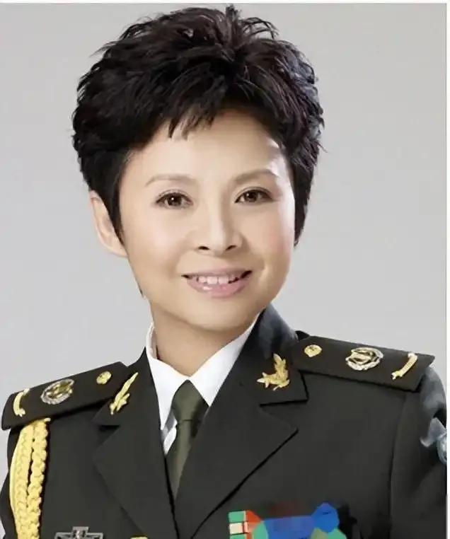 董文华曾在事业巅峰遭走私案无辜牵连，从此告别春晚舞台，还陷入舆论漩涡，遭人指责。