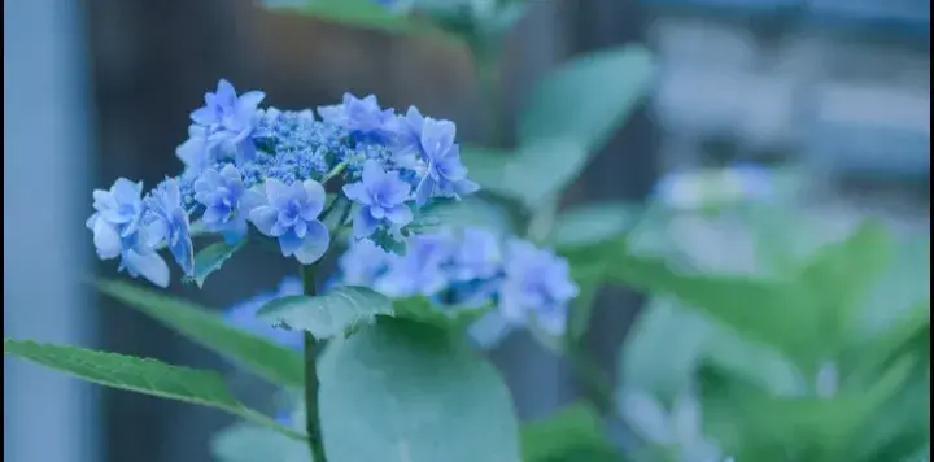 在楚光之夏美食城取餐，李飞遇上两个同行同事，三人聊起美团众包的苦，系统总派远单，