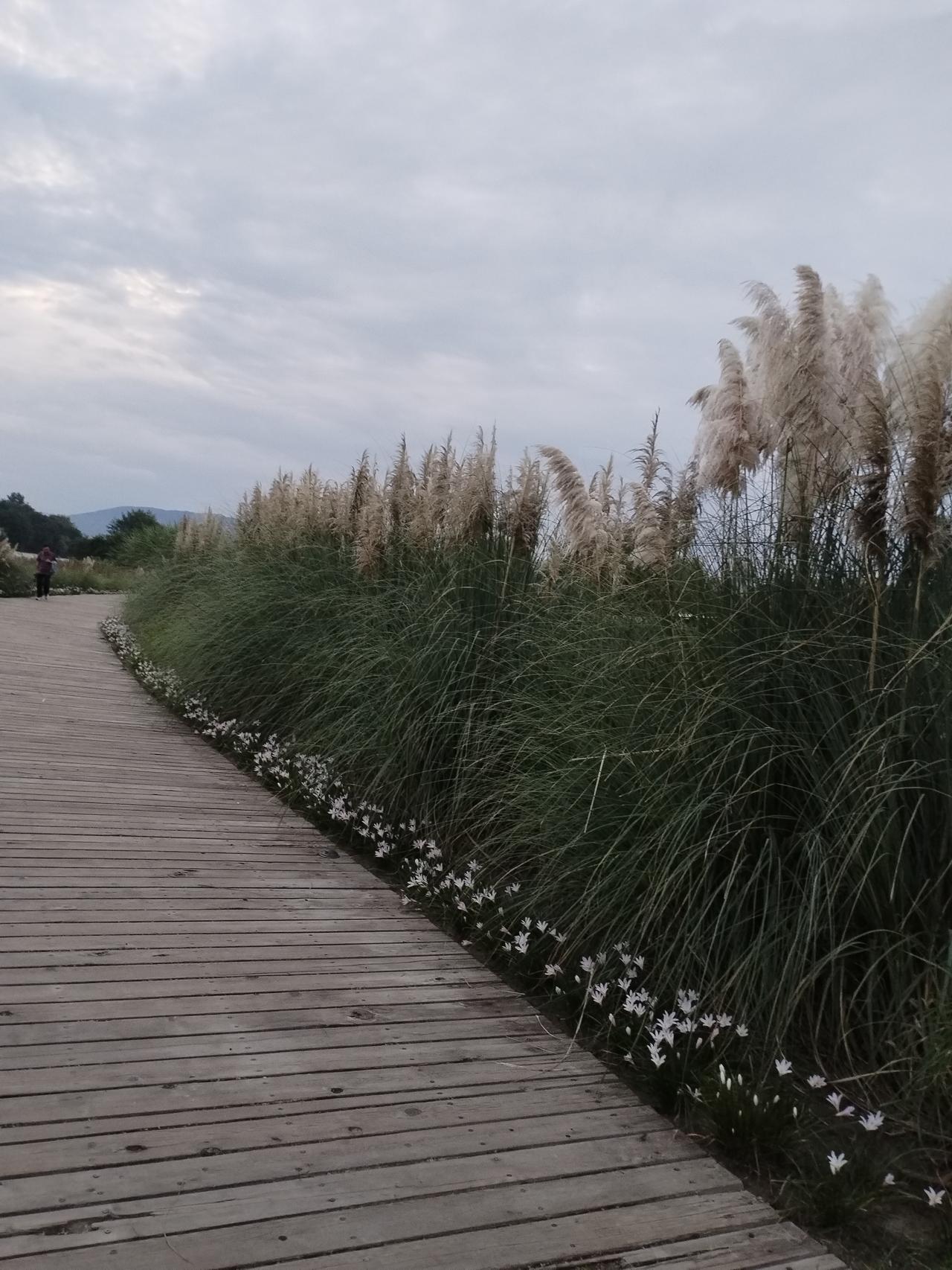 山河风物意境款
上联：湖南湖北有南北
下联：楚水楚云无西东
横批：一脉同春
注释