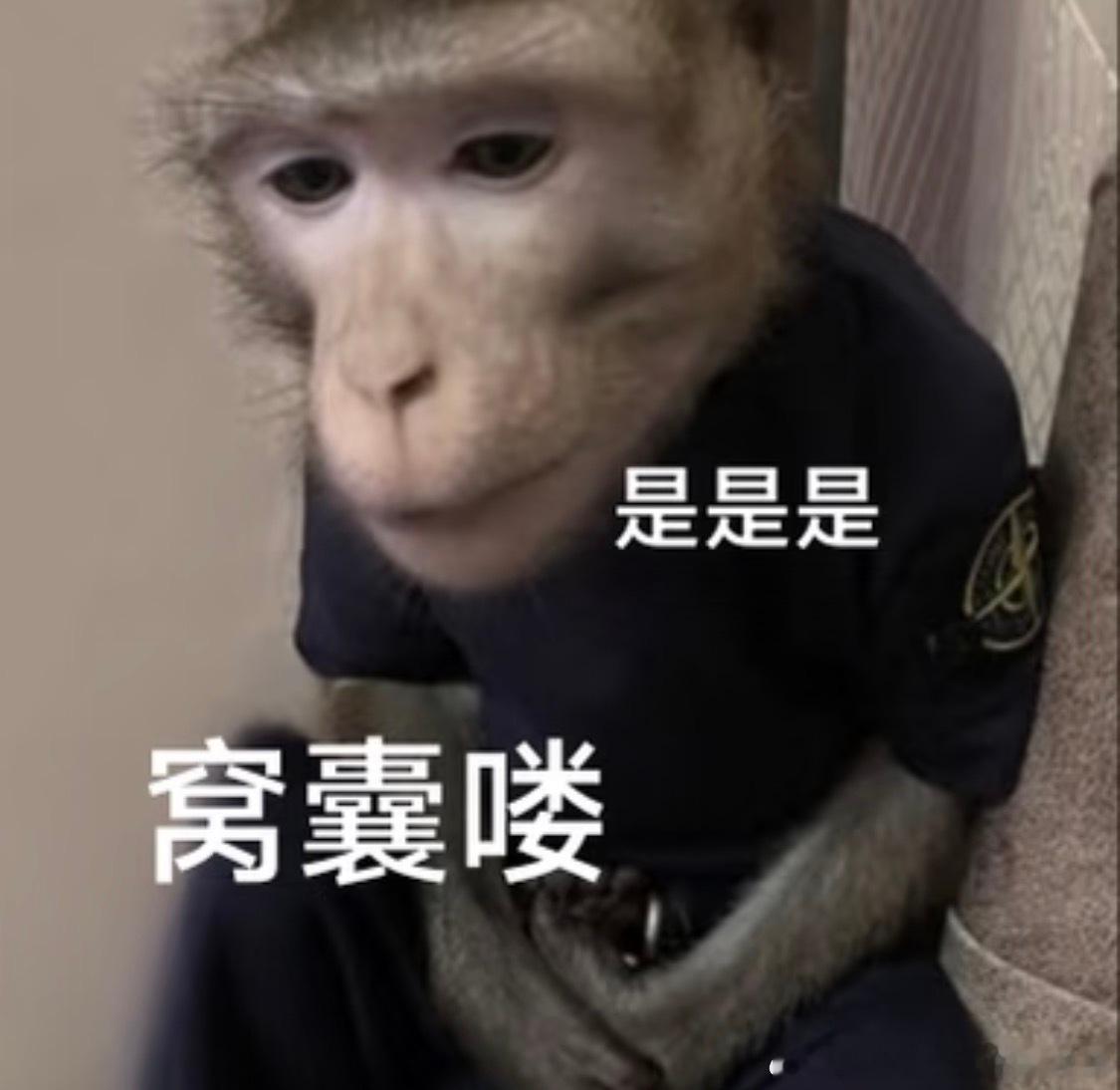 暴瘦的一些明星卖的减肥餐，减肥药，不要太信甚至可以直接不信。因为今年不管是大基数
