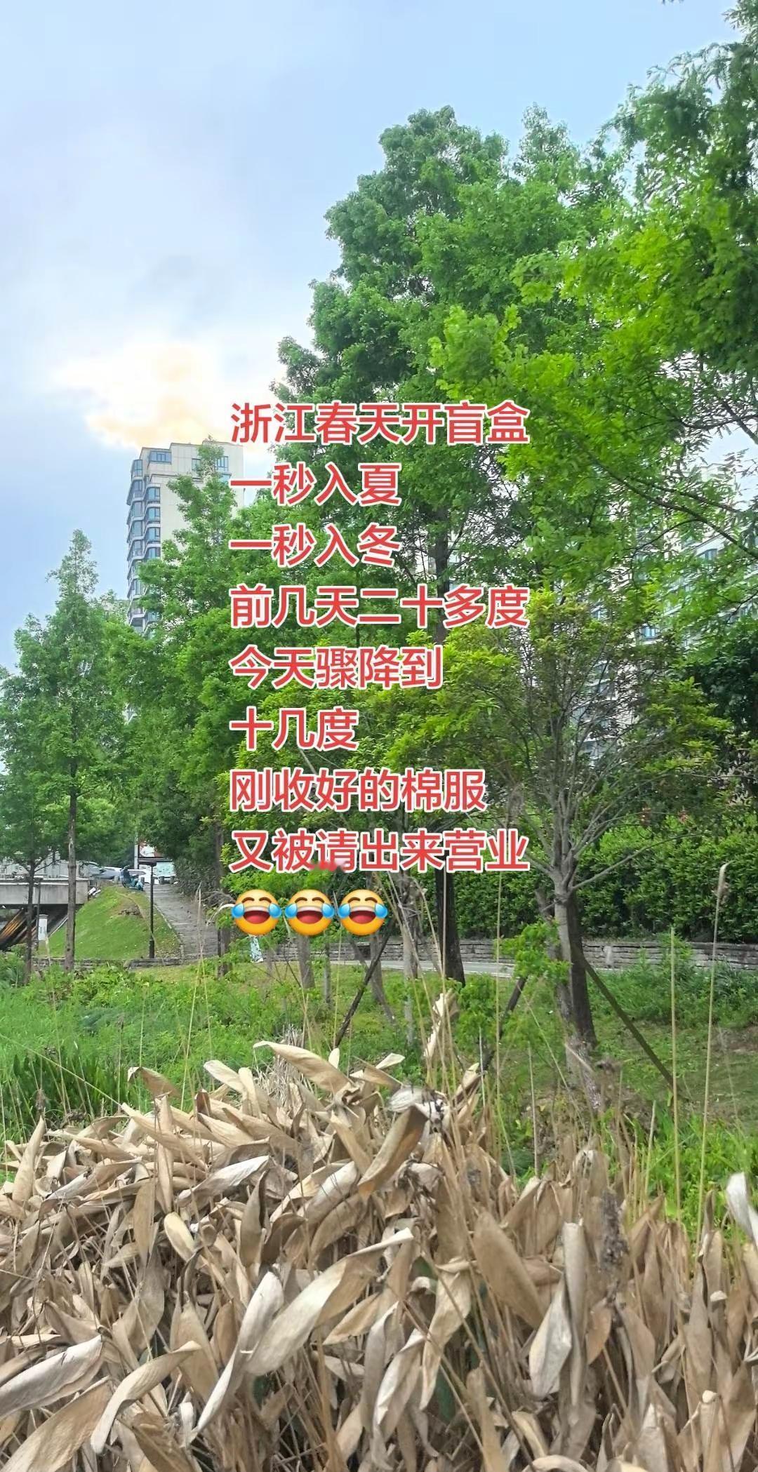 开盲盒。浙江春天开盲盒 一秒入夏，一秒入冬前几天二十多度今天骤降到十几度刚收好的