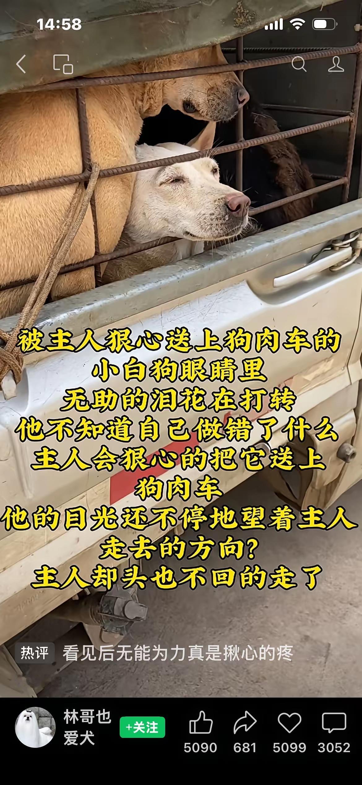 真的看哭了！
      从小养到大的狗狗，被主人亲手送上狗肉车，它全程流着眼泪