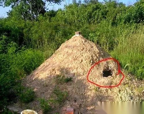 村西头那个坟包，打我记事起就戳在那儿，直勾勾地瞅着全村。
明朝的，老祖宗的坟。你