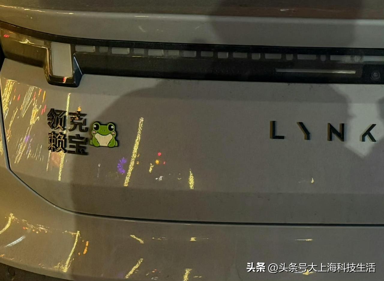 从此每看到一辆“领克”就会想到赖克宝[笑哭] ​