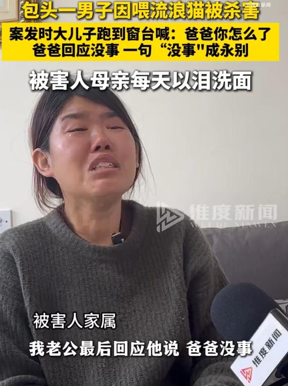 男子因喂流浪猫被捅身亡妻子发声，"我最大的心愿就是凶手偿命，避免恶性事件重演"。