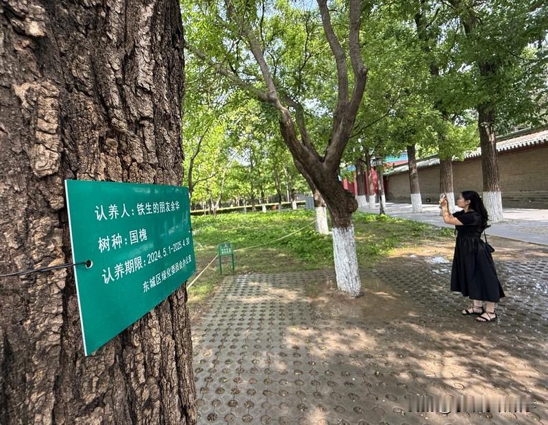我认同“人生都是客，万事莫执着”。史铁生在《我与地坛》“好运设计”中说，无痛苦映