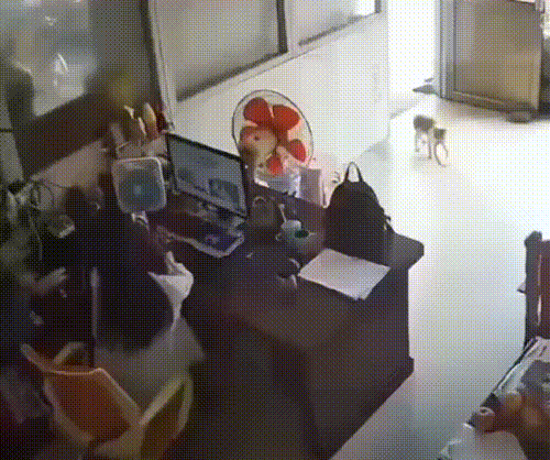 虽然是个动图
但我好像听见了声音