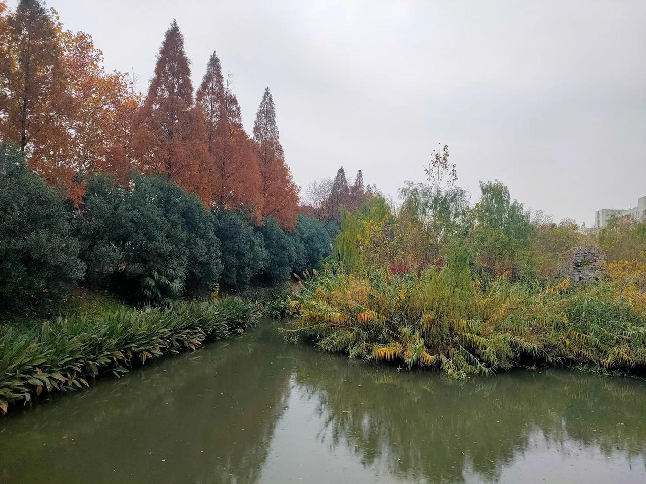 同一处风景，不同的色彩与风光。
前面三张照片，是水中的这一块小洲秋天时的景色。