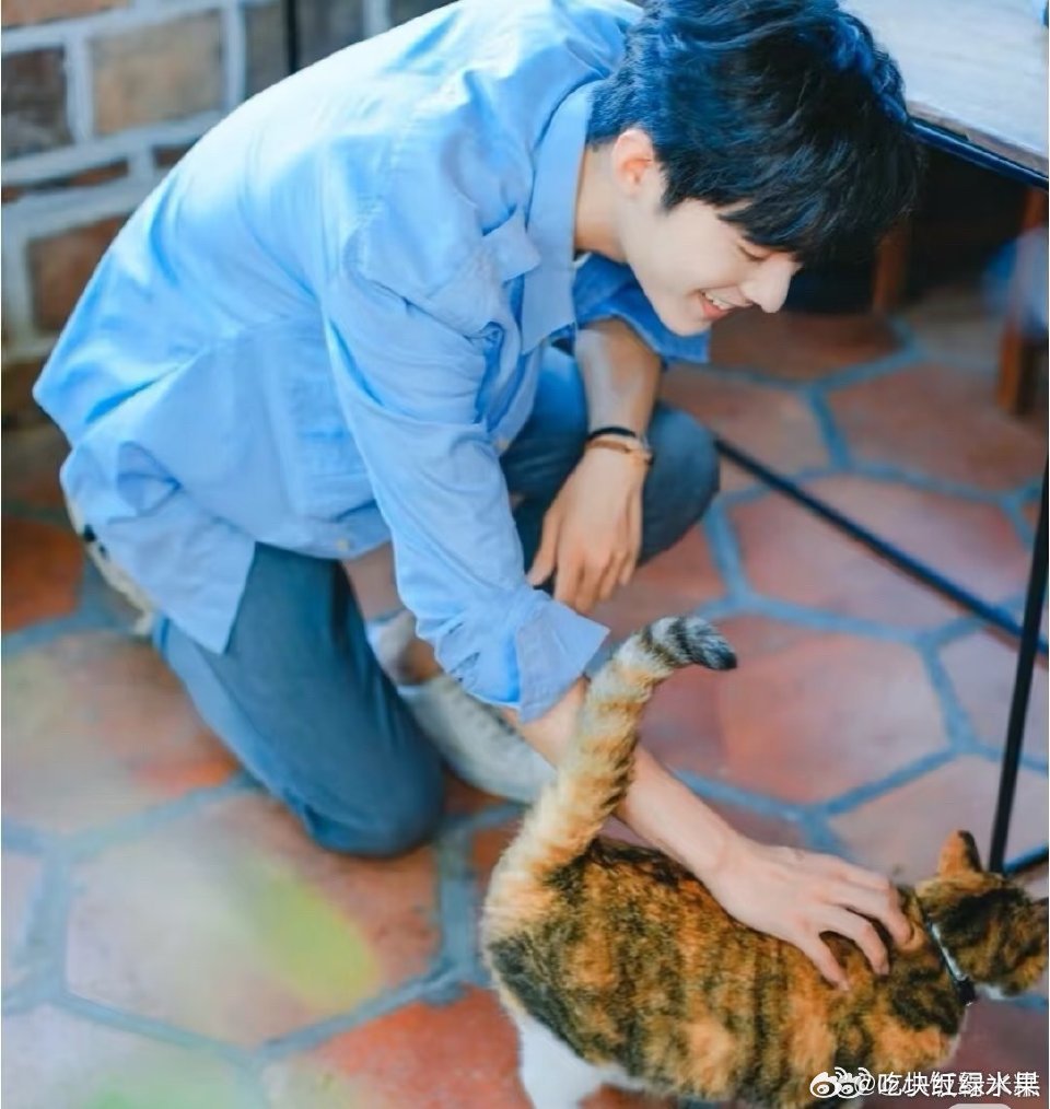 现在才发现王一博和肖战都很爱猫诶 这样有爱心的男孩子们你爱了吗肖战打招呼很像oi