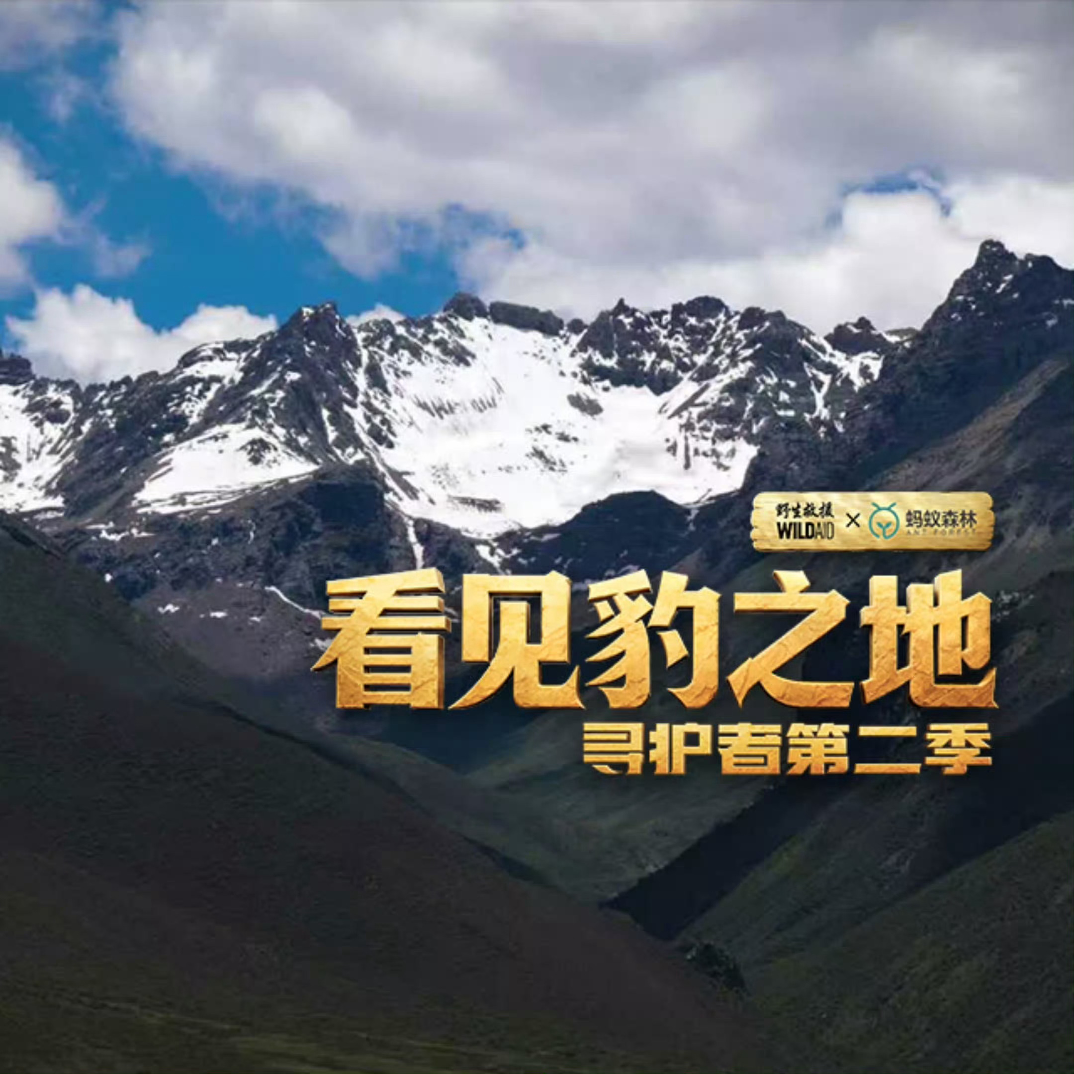 哈哈哈哈哈哈 《看见豹之地 寻护者2 》记录电影终于来啦～期待[赢牛奶]主页👉