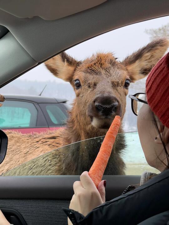 parc omega真的是omg🦌🦬🐐🐺🫎