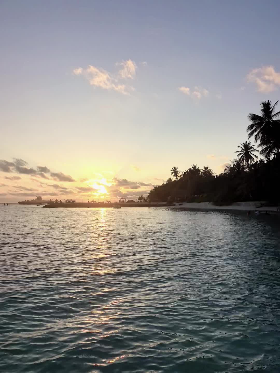 世界真的很割裂 另一边的炮火还在轰鸣 我们却在为工作和未来焦虑那些我们...