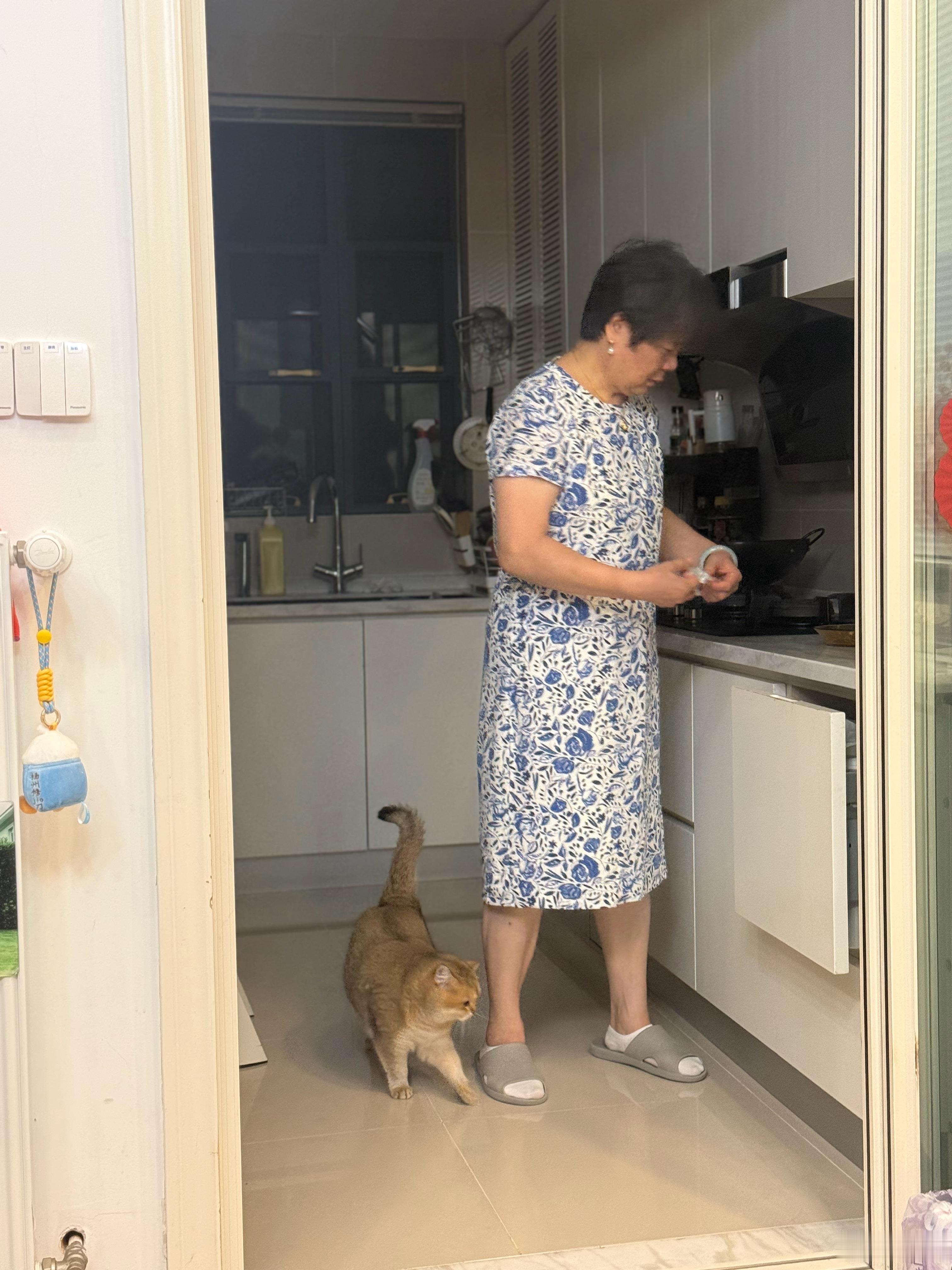 我妈愁眉苦脸要伺候我爸还要伺候猫烦死了 