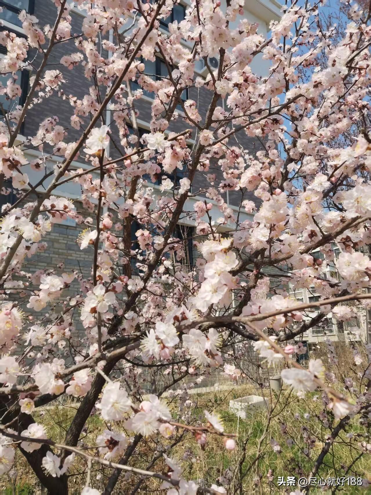 大烟台今天正式停暖气了，早上起来的感觉，就是以前屋里都是温暖，现在是凉凉的感觉。