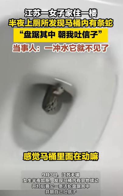 “最担心的事还是发生了！”5日，江苏无锡一女子半夜上厕所时，感觉马桶里有东西在蠕