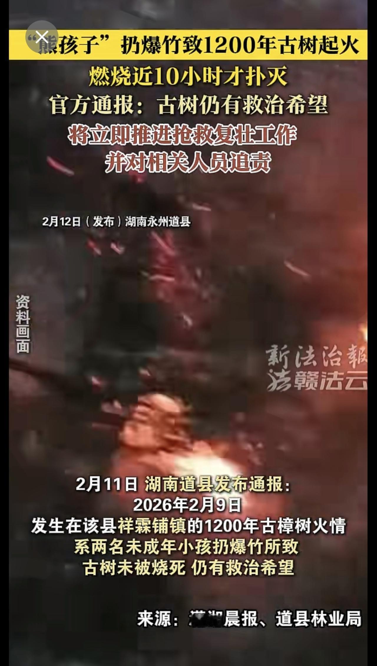 俩“熊孩子”扔爆竹致1200年古树起火，燃烧近10小时终扑灭，官方通报：古树仍有