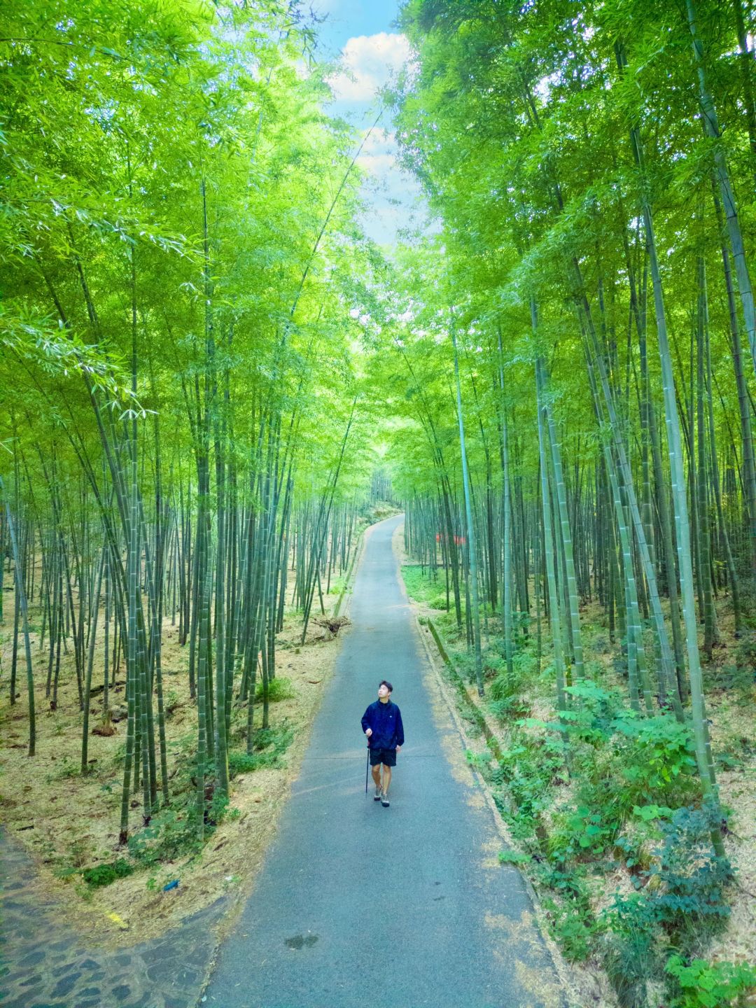 推荐9⃣️个我认为长沙最适合春游的徒步地⛰️